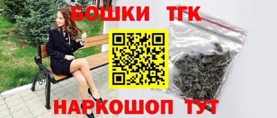 индика Гагарин