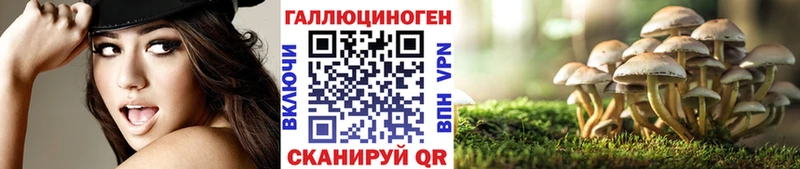 площадка состав  даркнет сайт  Кыштым  Галлюциногенные грибы GOLDEN TEACHER 