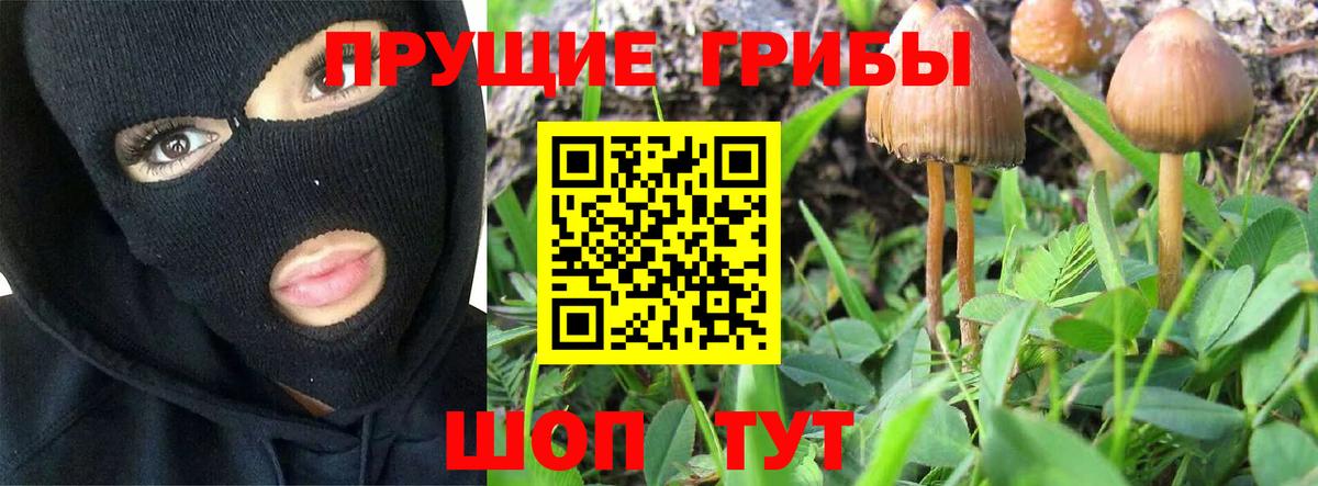 Галлюциногенные грибы Cubensis  Вход с VPN  Кыштым 