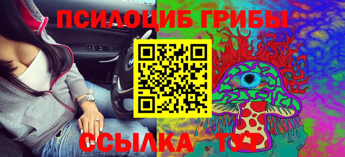 Галлюциногенные грибы Psilocybe  наркошоп  Кыштым 