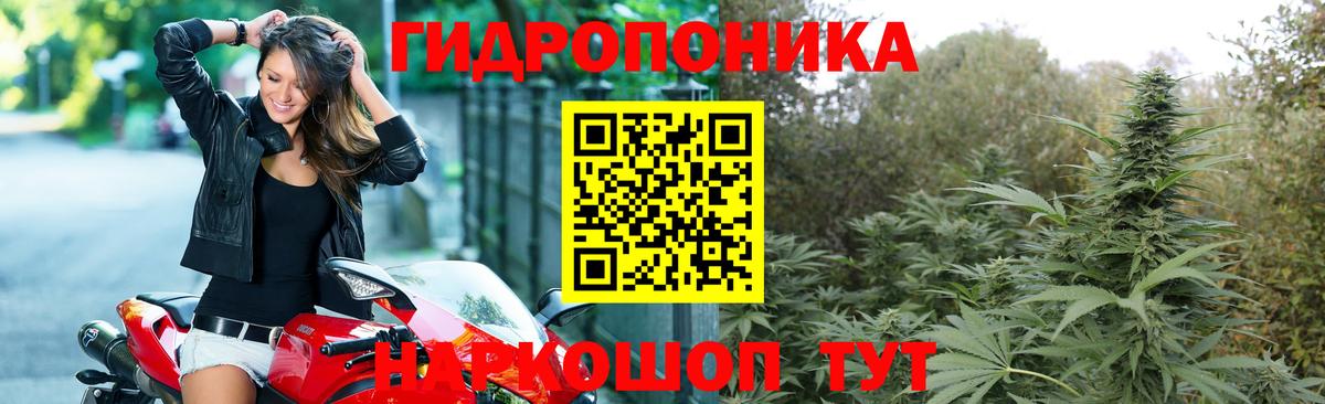 Бошки Шишки Bruce Banner  Вход с VPN  Кыштым  Каннабис VHQ 